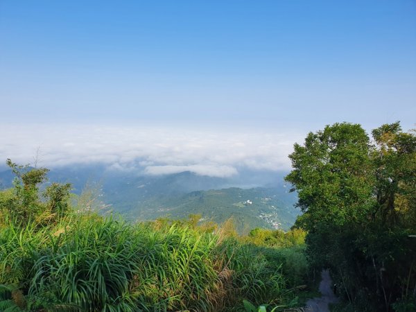 【雲嘉】連峰茶道之美1717460