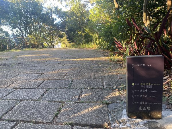 【四獸山 Short】虎豹象先行！獅山封閉中，等新步道開箱再相見2888861