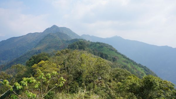 真笠東北峰-鱈葉根山109871