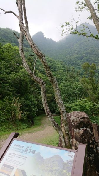 志繼山-東眼山-東滿步道327766