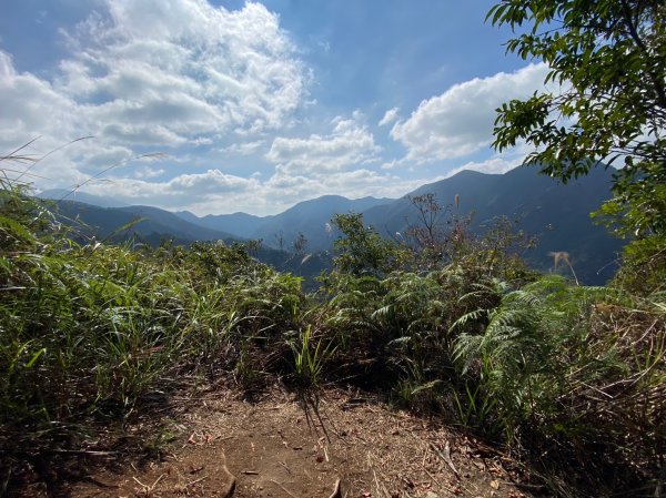 唐麻丹山-松鶴上三角點O型回松鶴2378389