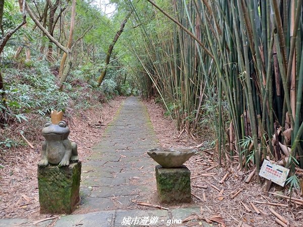 【台北。內湖】山頂好眺望。 小百岳集起來。 編號8小百岳大崙頭尾山親山步道1590472