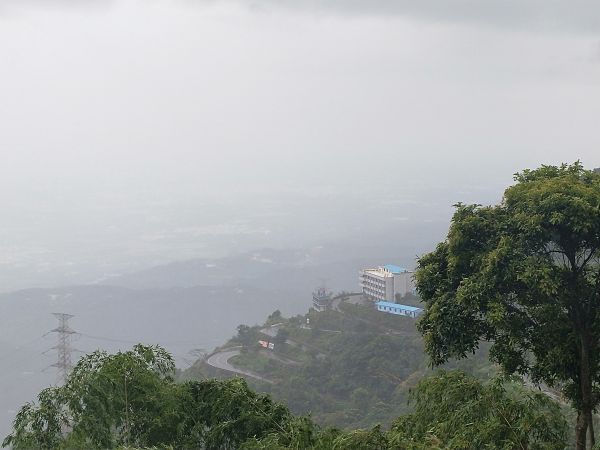 太平雲梯吊橋步道397184