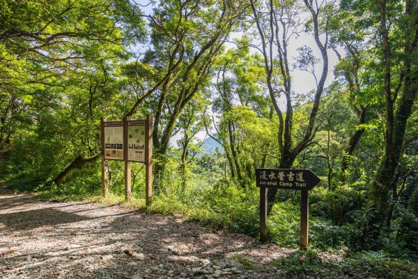 浸水營古道：橫跨中央山脈的百年古徑1897517