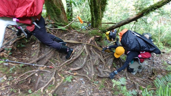 雙龍林道上巒安堂西巒大山1778713