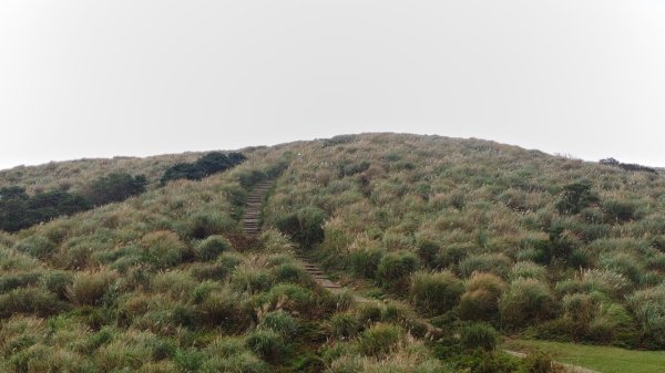 陽明山輕鬆走2991983