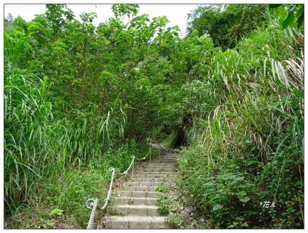 草嶺清溪步道1506553