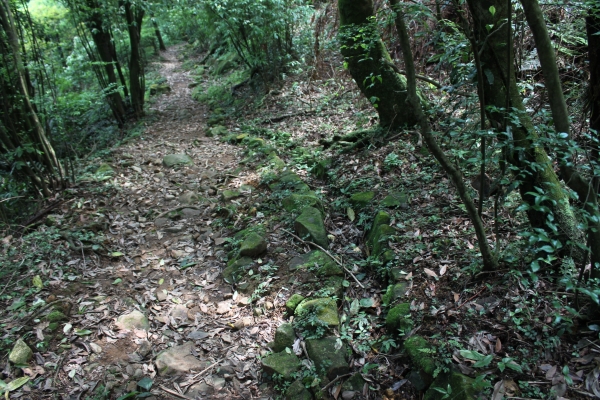 20160502台灣台北陽明山金包里步道公開90681