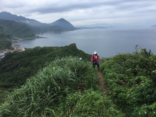 崕上的波妞～鼻頭角風景區599480