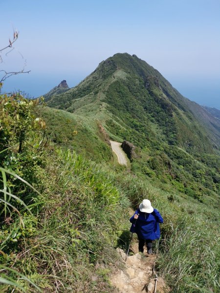 燦光寮古道O型935158