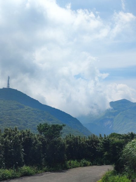 陽明大屯山區亂亂走3078509