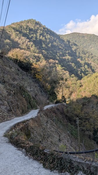 環山獵人登山步道3021026