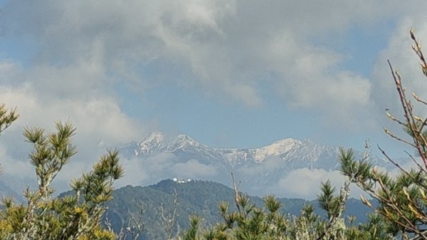 特富野古道>東水西峰>東水山>玉兒山>特富野古道（逆O)2743854