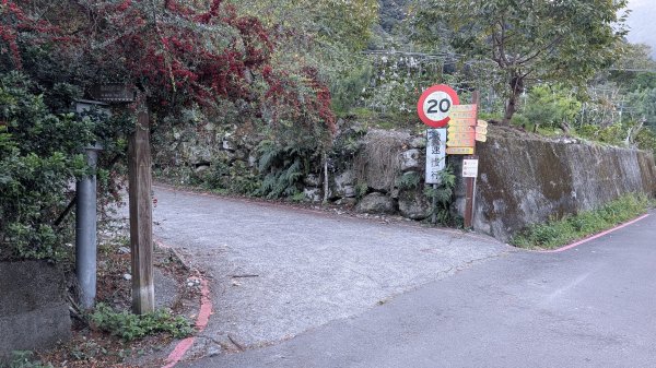 【中級山】五星級步道，谷關七雄馬崙山3021961