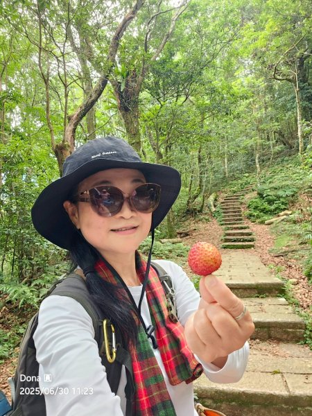 桃園小百岳東眼山(H1212m)2844627