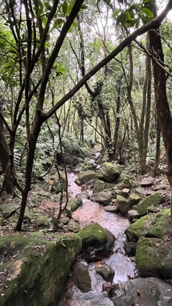 小百岳_大崙頭山2959951