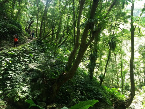 108.08.17 三峽  雲森瀑布654724