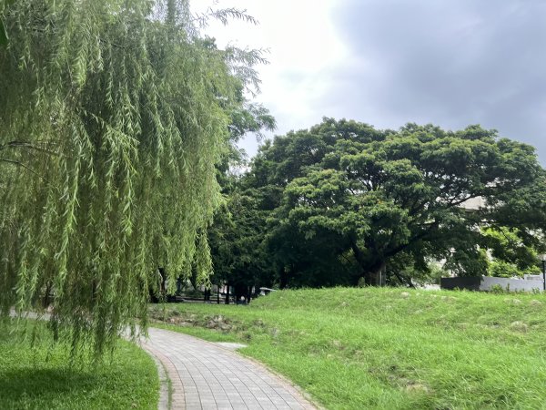 [全臺走路趣尋寶-25/100] 2024_0706_南瀛綠都心公園2546346