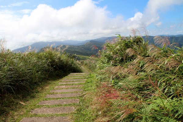 草嶺古道-桃源谷遍野芒花翻飛，飽覽絕美山海奇景！2335620