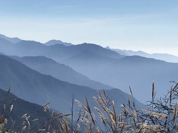 2017.10.28 檜山巨木群步道447771