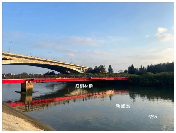 新豐紅樹林木棧步道2707072