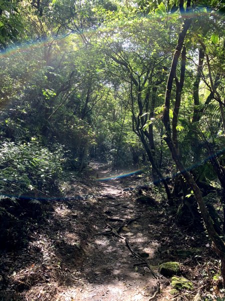 210430-臺北大縱走第四段：風櫃口至捷運大湖公園站1371301