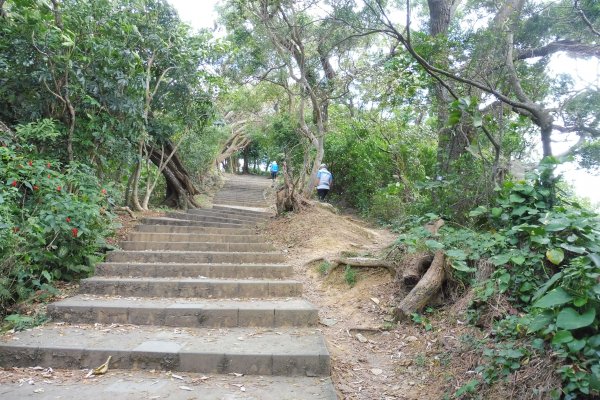 台北大縱走-劍潭>大湖公園>梅花山577995