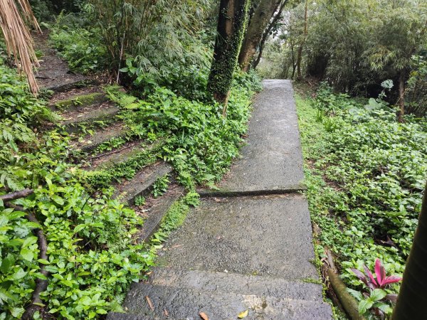 獅球嶺&劉銘傳隧道3010102