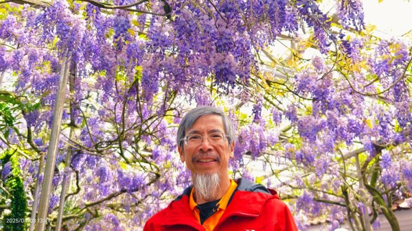 追花是簡單的快樂，賞花是恬淡的幸褔 4/32751456