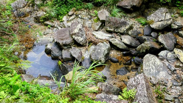 桶後越嶺古道2876811