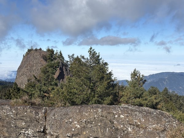 20251225塔山步道(大塔山)2970430