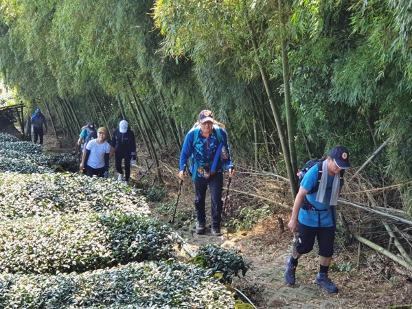 【雲嘉】後棟山連走大二尖山1478453