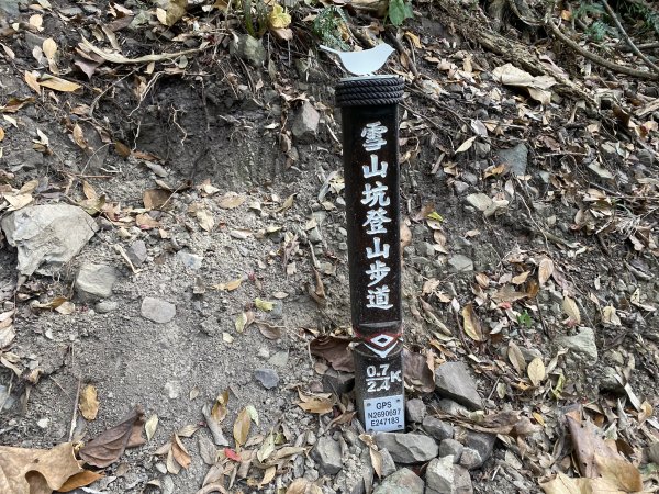 《雪山坑登山步道｜巨人之手森林秘境 Xueshankeng Hiking Trail & Giant2971103