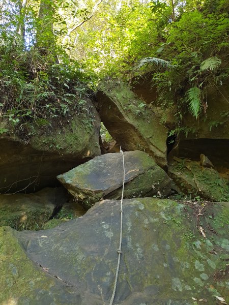 冬 / 冷冬暖陽石牛山1236500