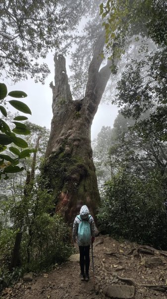 20250101內鳥嘴山北得拉曼步道2681579