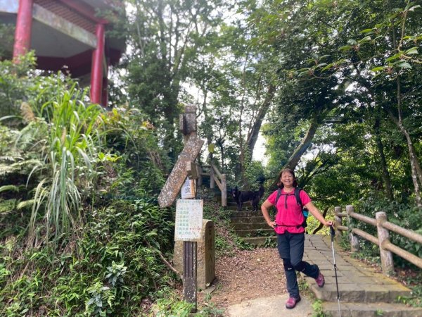 苗栗縣獅潭鄉鳴凰古道O型縱走2803688