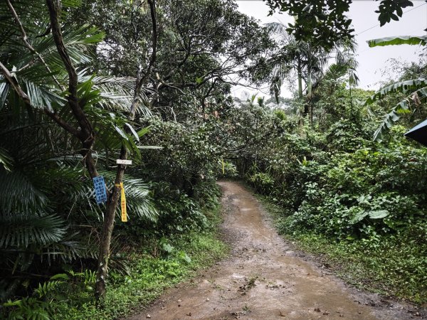 2026_0131 獅球嶺中央砲台2997613