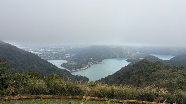 迷霧2986977
