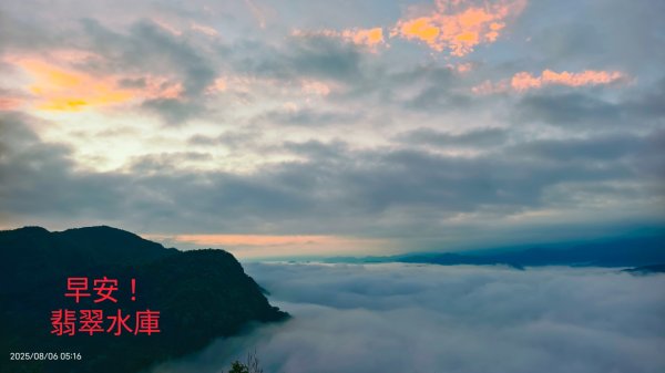 #新店四十份 #翡翠水庫壩頂 #夜景 #曙光 #雲海 #雲瀑 #藍腹鷴 8/62852920