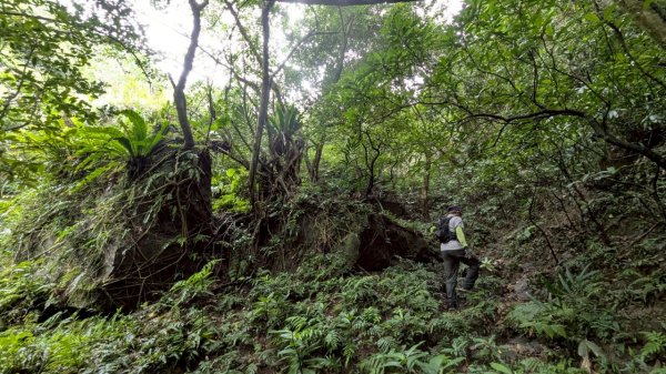 114.06.08門牙岩之O型2806632