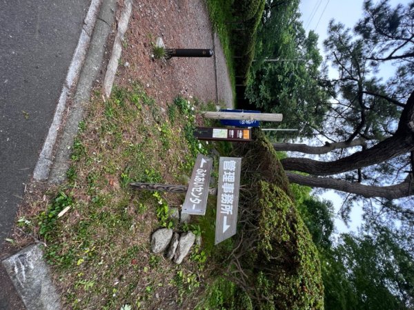 2024北海道函館、登函館山附近八幡坂與神社2565988