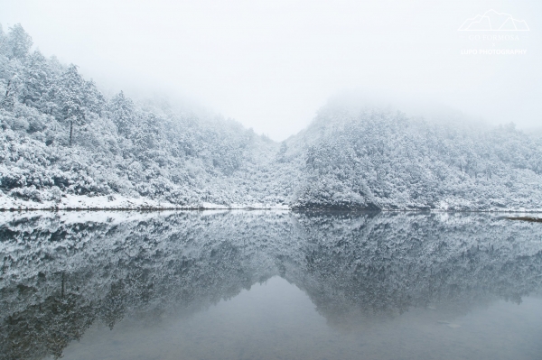 【攝野紀】夢幻般的雪中松蘿湖264554