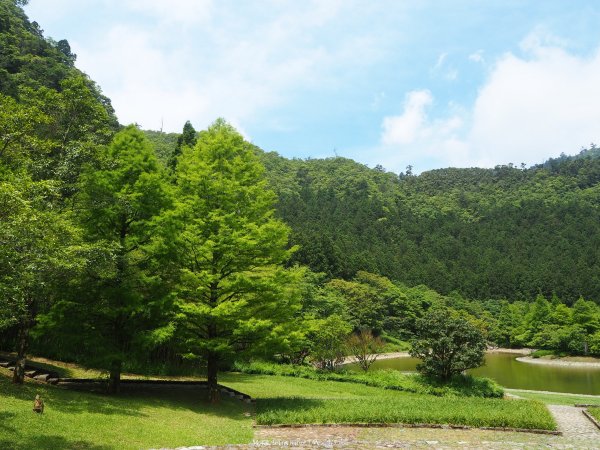 《宜蘭》北橫明珠｜明池國家森林遊樂區201805192889300