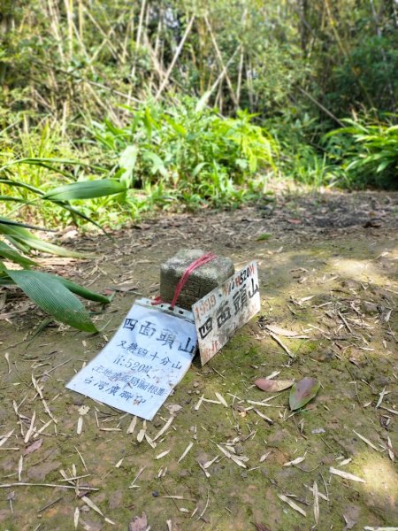 銀河路-楣子寮溪-肆方巖-四面頭山-十六分山-三玄宮山-鵝角格山-樟湖步道2496701