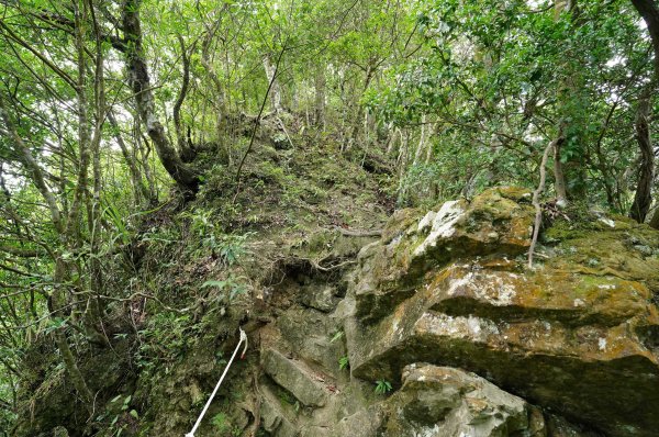 新北 烏來 烏來山、大桶山、四崁水山2829235