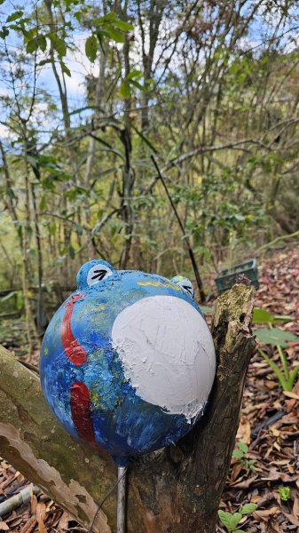 【走進望鄉部落，抬頭就見玉山】獵人古道之望美山、瓊山O繞16K。2972253