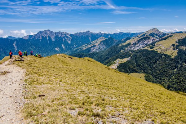 合歡山北峰/高山杜鵑  2021/04/301368405