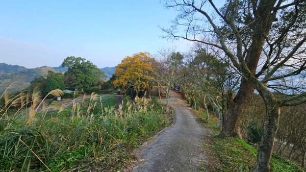出關古道：十份崠段2700626