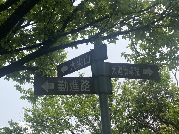 《城市與山的交界線｜大尖山連走四分尾山》O繞路線＋秀峰瀑布＋遇見養蜂人🐝3056649