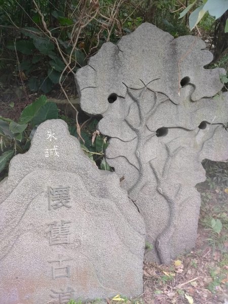 1130610太平濱海步道3099878